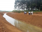 Tin tức xã hội